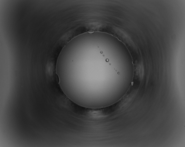 X0000100410283200806061348