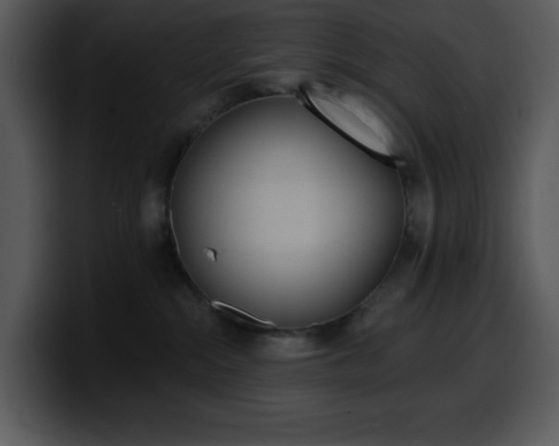 X0000100410284200806061348