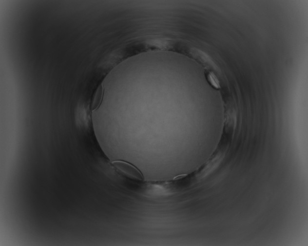 X0000100410285200806061348