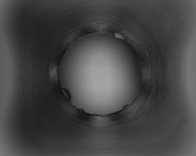 X0000100410286200806061348