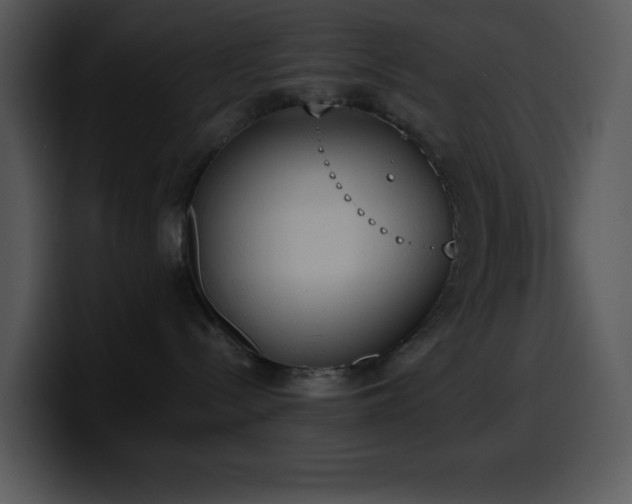 X0000100410288200806061348