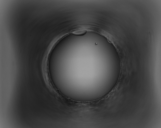 X0000100410289200806061347