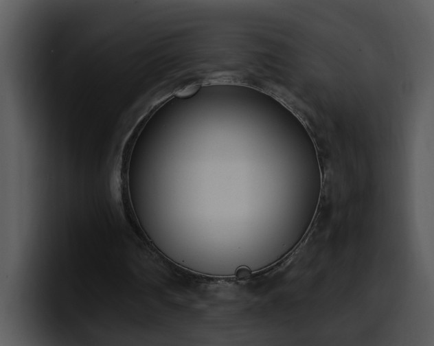 X0000100410290200806061347