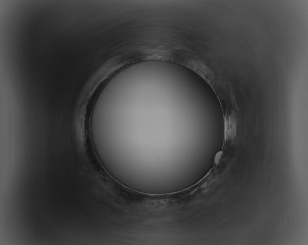 X0000100410291200806061347