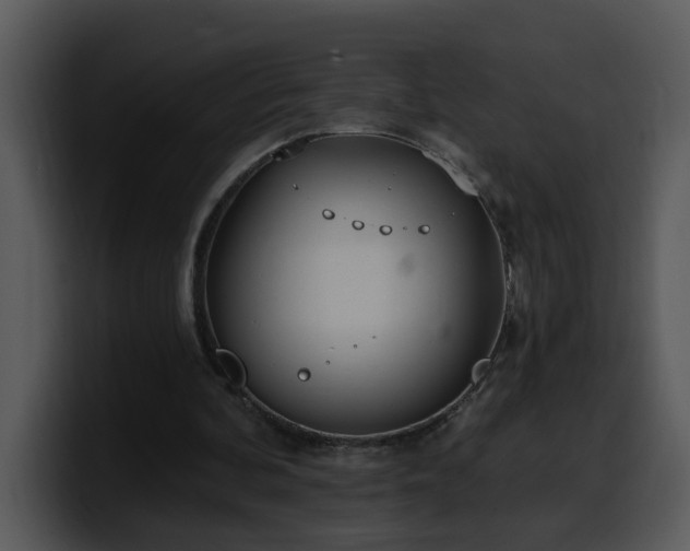 X0000100410292200806061347