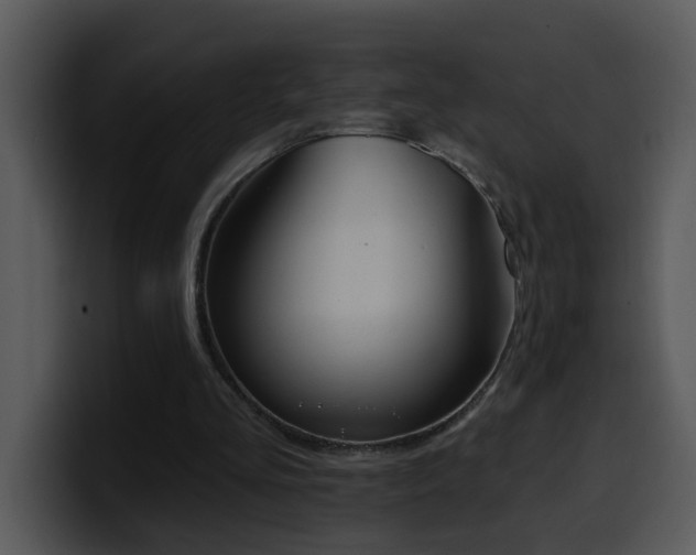 X0000100410293200806061347