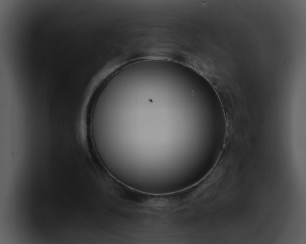 X0000100410294200806061347