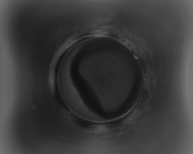 X0000100410295200806061347