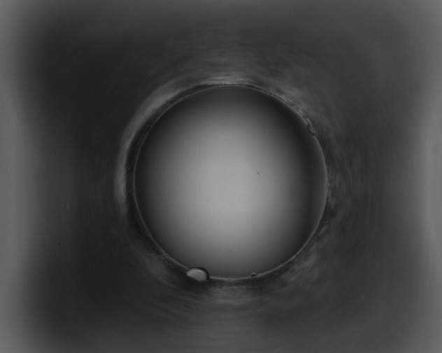 X0000100410296200806061347