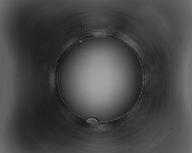 X0000100410297200806061347