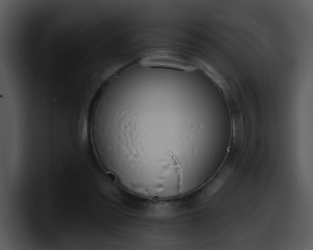 X0000100410301200806061347