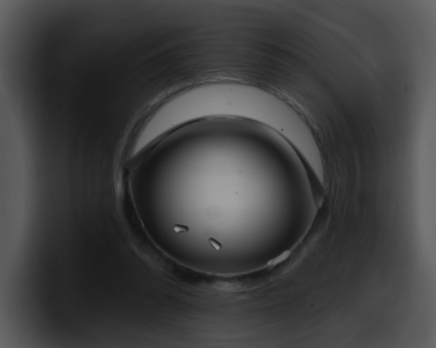 X0000100410302200806061347