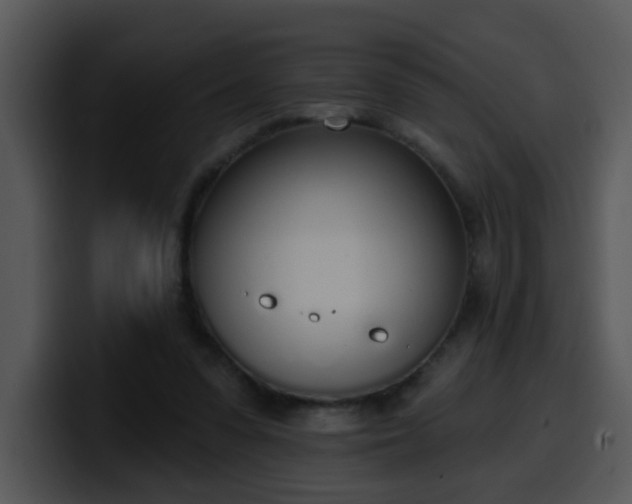 X0000100410303200806061347