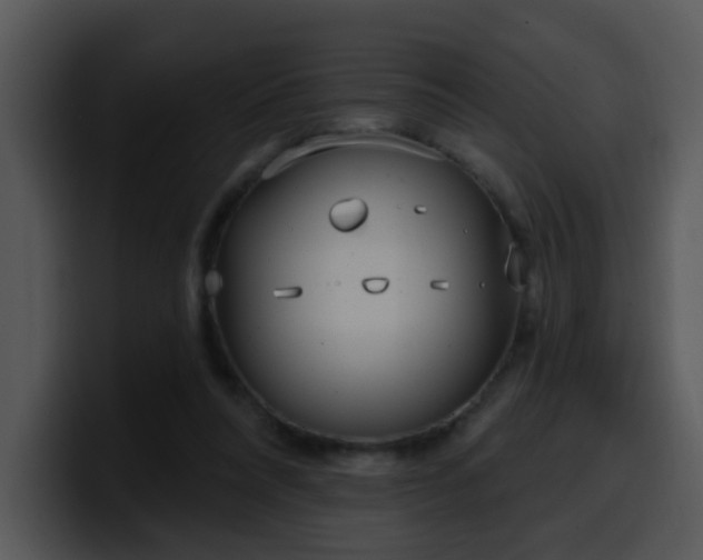 X0000100410304200806061347