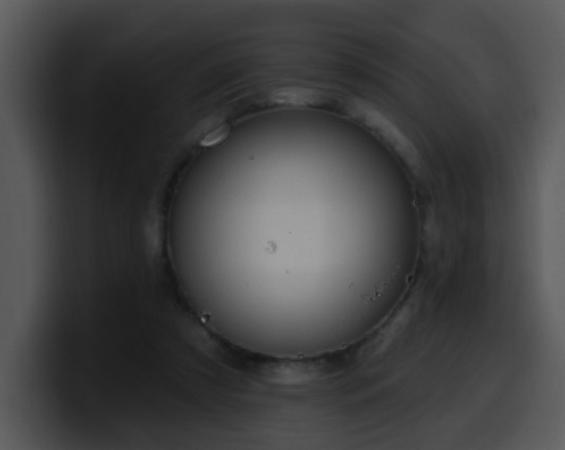 X0000100410305200806061347