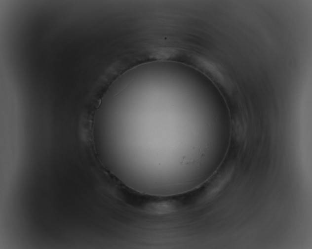 X0000100410307200806061347