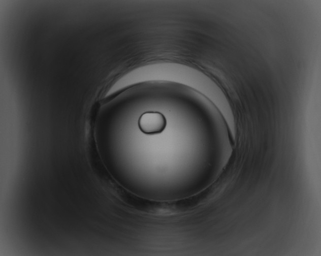 X0000100410308200806061347