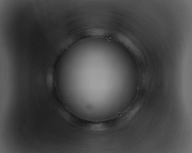 X0000100410309200806061347