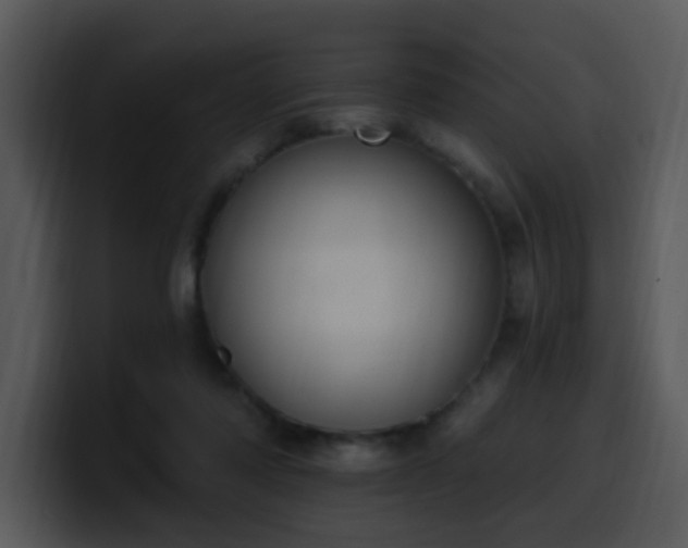 X0000100410310200806061347