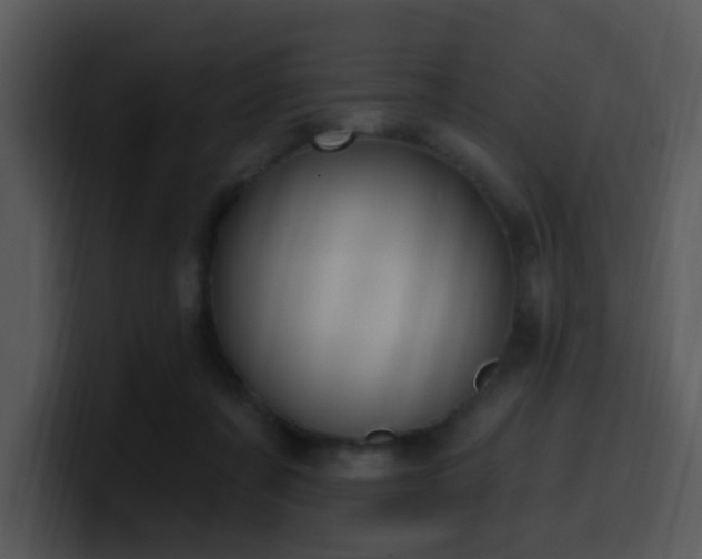 X0000100410311200806061347