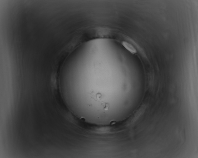 X0000100410313200806061347