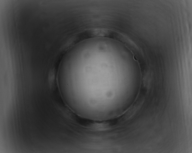 X0000100410314200806061347