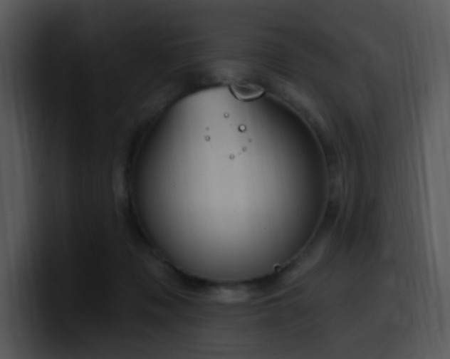 X0000100410317200806061347