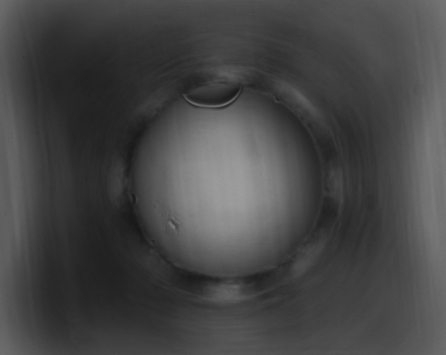 X0000100410318200806061347