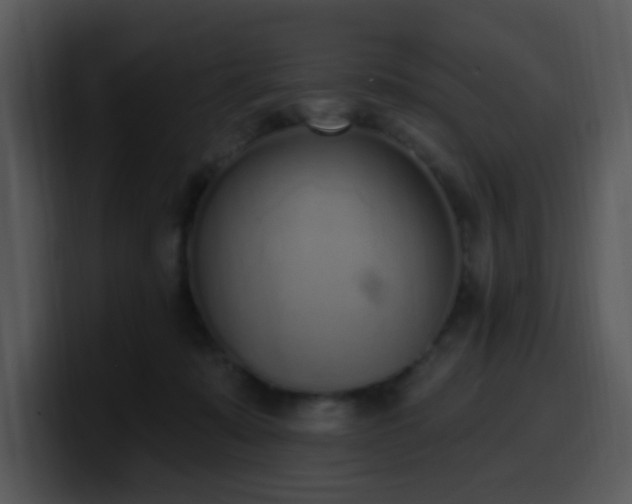 X0000100410319200806061347