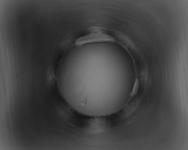 X0000100410320200806061347