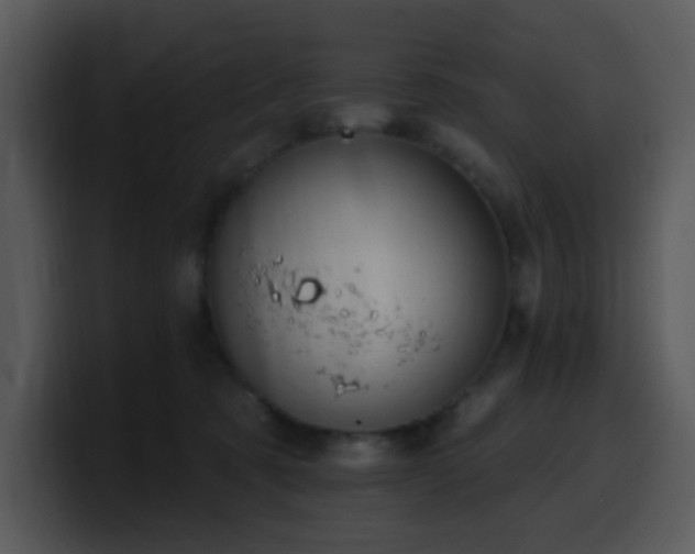 X0000100410321200806061347