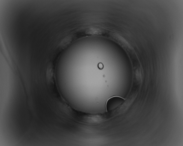 X0000100410322200806061347