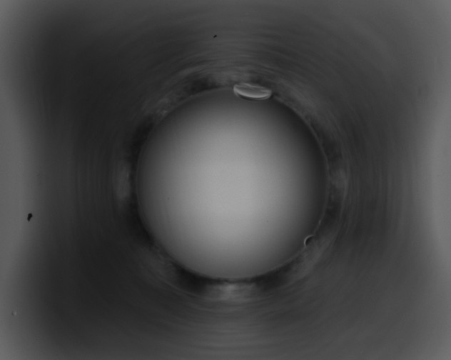 X0000100410323200806061347