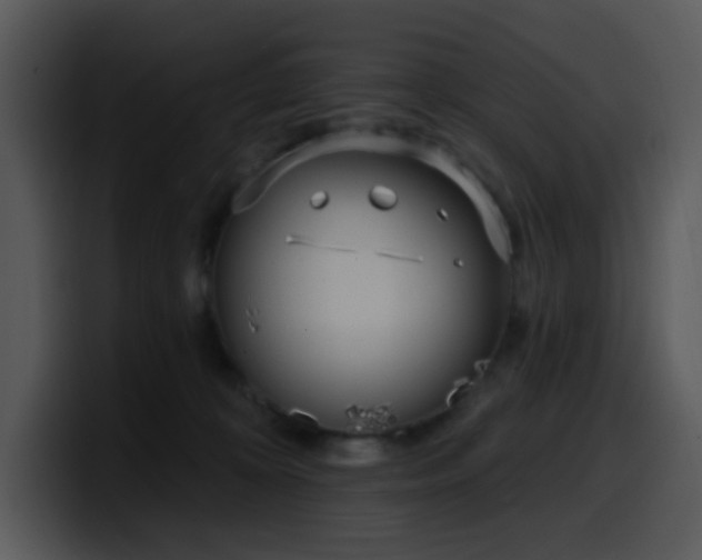 X0000100410324200806061347