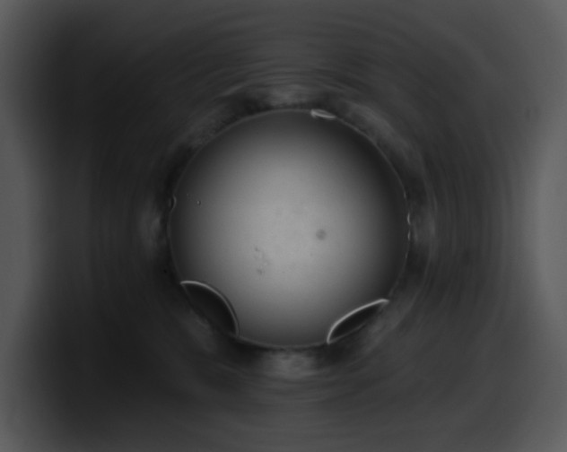 X0000100410327200806061347