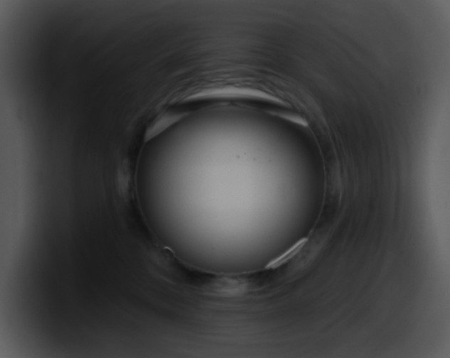 X0000100410328200806061347