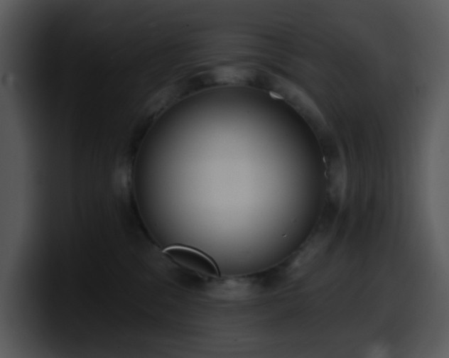 X0000100410329200806061347