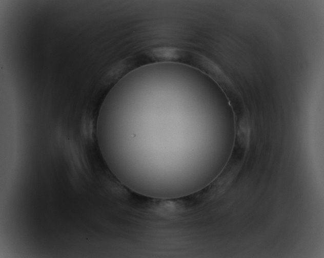 X0000100410330200806061347