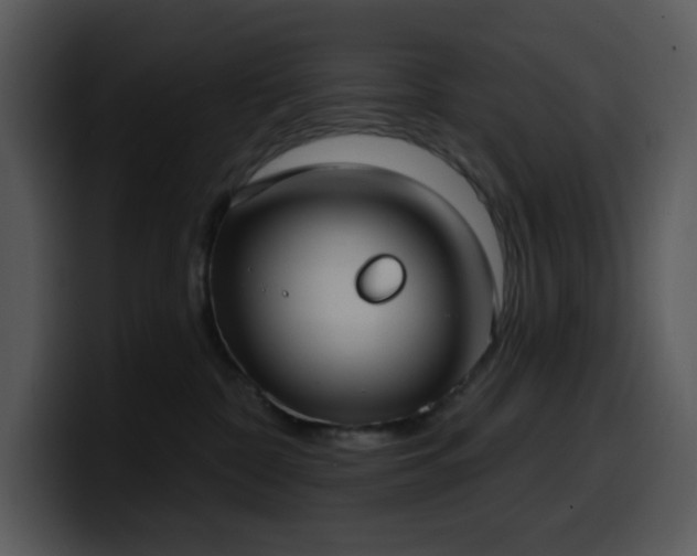 X0000100410332200806061347