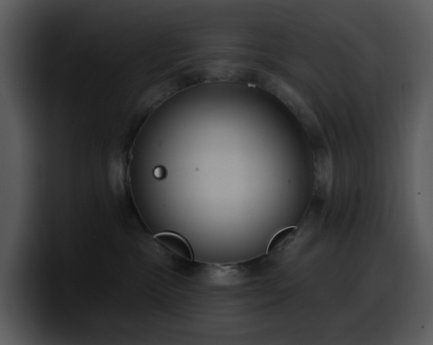 X0000100410333200806061347