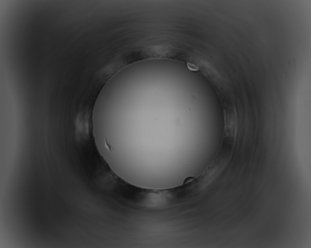 X0000100410334200806061347