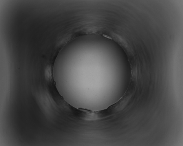 X0000100410335200806061347