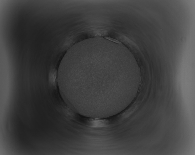 X0000100410336200806061347