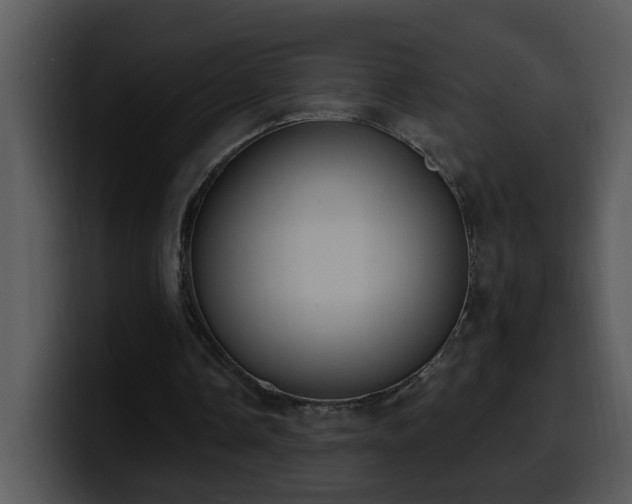 X0000100410338200806061346