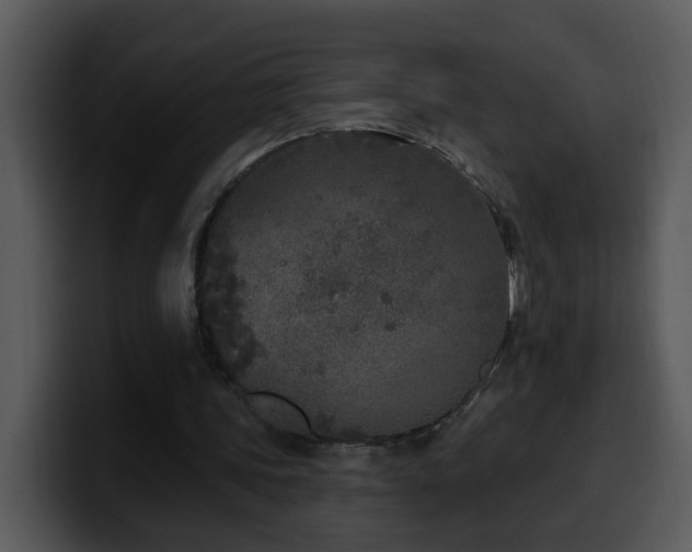 X0000100410339200806061346