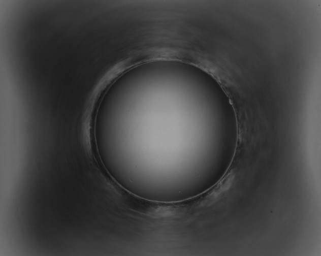 X0000100410341200806061346