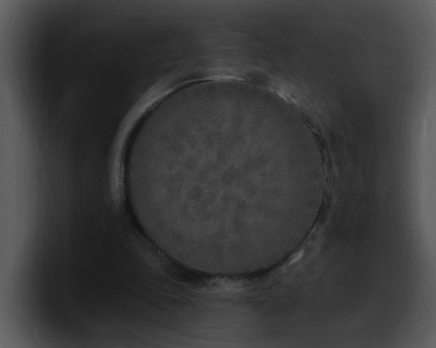 X0000100410343200806061346