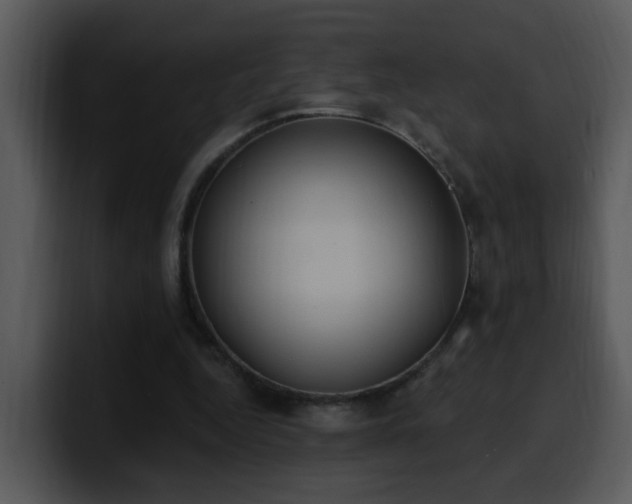 X0000100410344200806061346