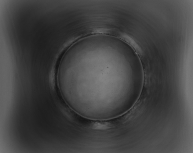 X0000100410346200806061346