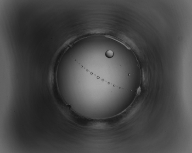 X0000100410348200806061346